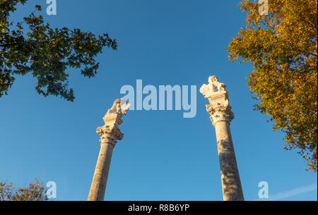 Les Statues d'Hercule et de Jules César sur un piédestal dans l'Alameda de Hercules à Séville, Espagne Banque D'Images