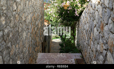 La brousse pleine de fleurs roses rose et jaune m'a captivé pendant que j'escalade les rues de cette charmante île en Grèce. Banque D'Images