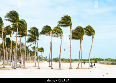 MIAMI, FLORIDE - le 21 janvier 2018 : Vue de la plage de sable. L'espace de copie pour le texte Banque D'Images