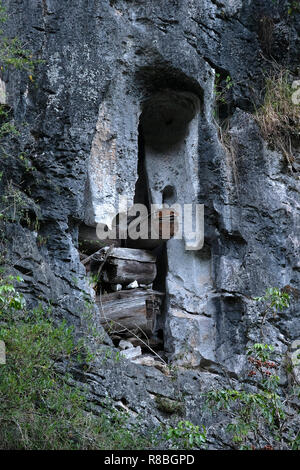 Vue sur la vallée d'écho de cercueils suspendus qui sont des cercueils en pin, quelques centaines d'années, la pendaison de la haute vallée de l'écho des falaises dans Sagada. La pratique funéraire Igorots unique des douanes les morts sont enterrés dans des cercueils lié ou cloué sur les falaises. Sagada Mountain Province Cordillera, l'île de Luzon aux Philippines Banque D'Images