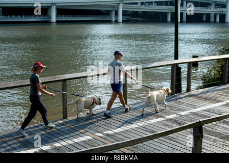 Les gens marcher chiens à South Bank, Brisbane, Queensland, Australie Banque D'Images