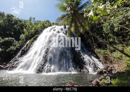 Kepirohi cascade dans la jungle avec des palmiers autour, près de Nan Madol, Island​ Pohnpei, États fédérés de Micronésie, l'Océanie, l'océan Pacifique Sud. Banque D'Images