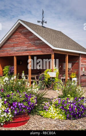 L'exposition florale Patch Pioneer Parkside à Winkler, au Manitoba, Canada. Banque D'Images