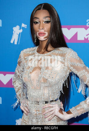 MANHATTAN, NEW YORK, NY, USA - Le 20 août : Winnie Harlow au 2018 MTV Video Music Awards qui a eu lieu au Radio City Music Hall, le 20 août 2018 à Manhattan, New York City, New York, United States. (Photo par Xavier Collin/Image Press Office) Banque D'Images