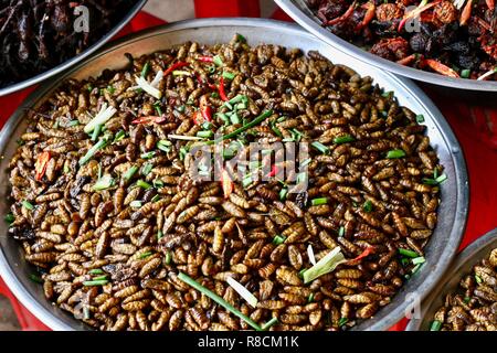 Les vers à soie frits parmi d'autres insectes comme nourriture dans la rue Ville Spider pour vente comme en-cas au Cambodge Banque D'Images