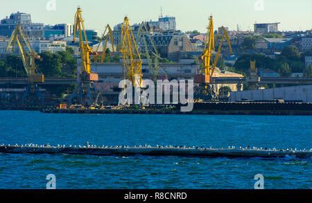 Odessa, Ukraine - 8 août 2018. Grues pour le chargement de gros porte-conteneurs et diverses cargaisons aux navires au chantier naval contre une belle e Banque D'Images