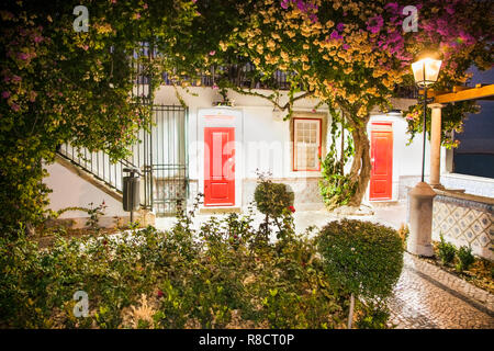 Porte en bois coloré dans la façade d'une maison typiquement portugais à Lisbonne, Portugal. Banque D'Images