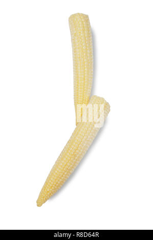 Studio shot of baby sweetcorn isolé sur fond blanc - John Gollop Banque D'Images