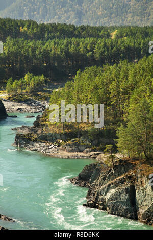 Près de la rivière Katun Chemal village. République de l'Altaï. La Russie Banque D'Images