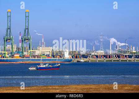 Grues à conteneurs du port et bateau amarré au port d'Anvers / port, Flandre orientale, Belgique Banque D'Images