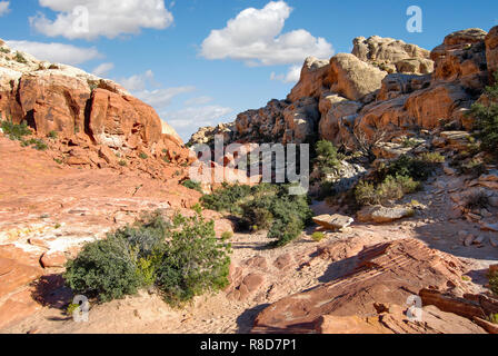 Red Rock Canyon, Nevada Banque D'Images