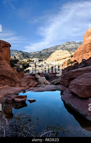 Les réservoirs de Calico, Red Rock Canyon Banque D'Images