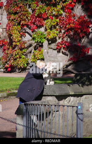 Une femme prend son chien par Selfies avec New Kings, Conférence d'automne de 14 mètres dans la puce. L'Université d'Aberdeen, Écosse, Royaume-Uni. Banque D'Images