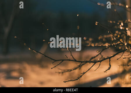 Appartement lumineux avec parking en voitures à l'intérieur sur fond de nuit d'hiver Banque D'Images