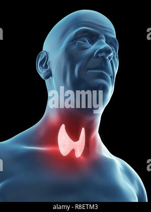 Illustration d'une glande thyroïde du vieil homme. Banque D'Images