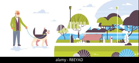 Man Walking avec chien husky urban city park grand-père d'arrière-plan avec son animal animal meilleur ami concept flat horizontal Illustration de Vecteur