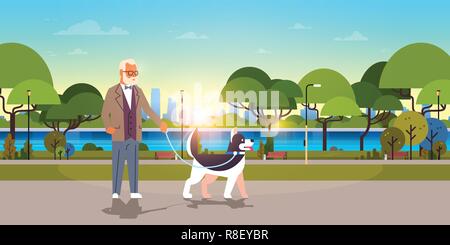 Man Walking avec chien husky urban city park grand-père d'arrière-plan avec son animal animal meilleur ami concept flat horizontal Illustration de Vecteur