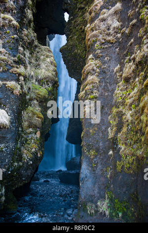 Gljúfrabúi ou 'cascade canyon dweller", caché entre une ouverture dans Franskanef Seljalandsfoss, falaises de l'Islande. Banque D'Images