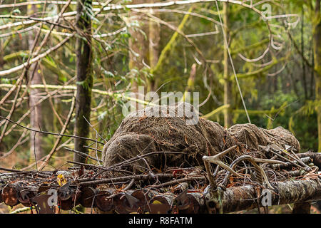 Faux corps enveloppés dans des décorations sur bois du carénage Banque D'Images