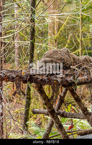 Faux corps enveloppés dans des décorations sur la plate-forme de hauteur du carénage Banque D'Images