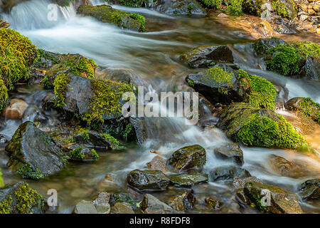 L'eau douce et fluide sur les roches moussues à washington Banque D'Images