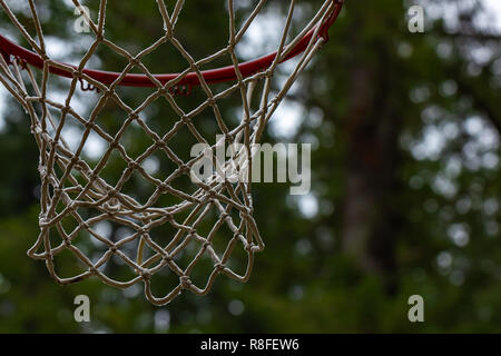 Forêt sombre avec panier de basket-ball rouge sur l'image Banque D'Images