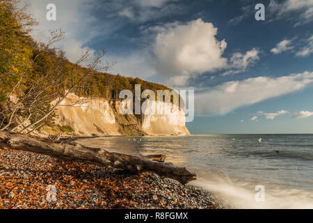 Falaises de craie sur l'île de Rügen dans le Parc National de Jasmund en automne l'humeur. Ciel bleu avec des nuages dans le soleil. Un tronc d'arbre mort se trouve au premier plan. Banque D'Images