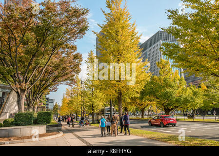 Arbres Gingko jaunes d'automne dans une ruelle au parc de Wadakura à Tokyo, au Japon Banque D'Images