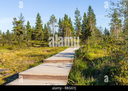 Promenade dans le Parc National Urho Kekkonen en Finlande. C'est un des grands parcs nationaux dans la région de Laponie, Finlande Banque D'Images