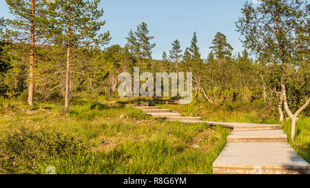 Promenade dans le Parc National Urho Kekkonen en Finlande. C'est un des grands parcs nationaux dans la région de Laponie, Finlande Banque D'Images
