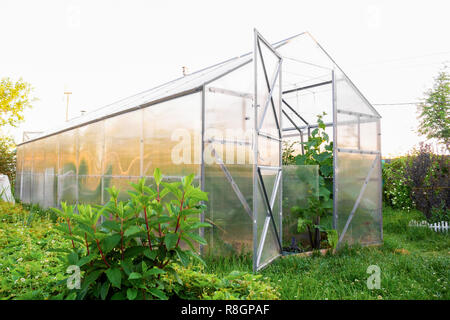 Serre en polycarbonate dans le jardin. Toit triangulaire. Banque D'Images