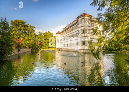 Château, Bad Rappenau, Allemagne Banque D'Images