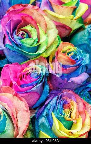 Peinture haute en couleur à l'Aquarelle fleurs roses abstract background Banque D'Images