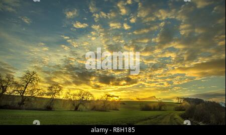 Bouquet de saules au coucher du soleil avec ciel nuageux Banque D'Images