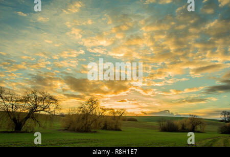 Bouquet de saules au coucher du soleil avec ciel nuageux Banque D'Images