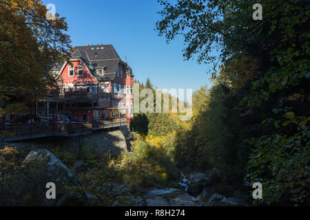 Vue de la vallée appelée Steinere renne dans la région allemande Harz Banque D'Images