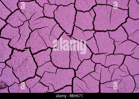 L'argile fissurée Texture du sol, l'arrière-plan, modèle homogène. Fissure dans le sol. La texture, l'arrière-plan, un modèle. Ceci est utile pour les concepteurs. a c Banque D'Images