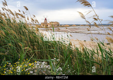 L'emblématique vieux moulin "Mulino d'Infersa" entre les salines à la réserve naturelle de Stagnone, Marsala, Sicile, Italie Banque D'Images