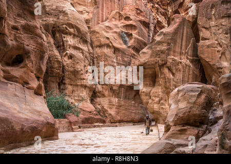 Die enge Felsschlucht Siq führt zu Petra, Bosnien und her ..., Asien | Le passage étroit siq qui mène à Petra, Jordanie, Asie Banque D'Images