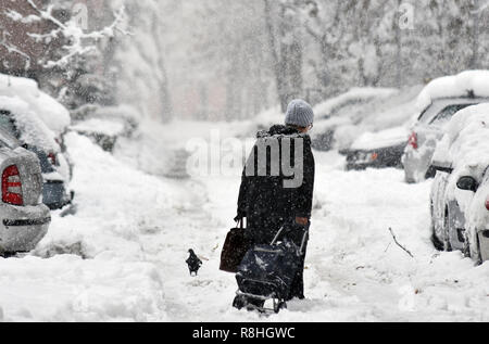 Novi Sad, Serbie. 15 décembre 2018. Jours de neige en Serbie. Les fortes chutes de neige en Serbie rend plus difficile des peuples et en ralentissant la circulation Nenad Mihajlovic photo Credit : Nenad Mihajlovic/Alamy Live News Banque D'Images