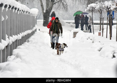 Novi Sad, Serbie. 15 décembre 2018. Jours de neige en Serbie. Les fortes chutes de neige en Serbie rend plus difficile des peuples et en ralentissant la circulation Nenad Mihajlovic photo Credit : Nenad Mihajlovic/Alamy Live News Banque D'Images