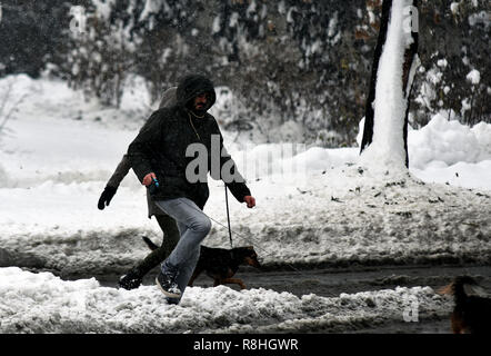 Novi Sad, Serbie. 15 décembre 2018. Jours de neige en Serbie. Les fortes chutes de neige en Serbie rend plus difficile des peuples et en ralentissant la circulation Nenad Mihajlovic photo Credit : Nenad Mihajlovic/Alamy Live News Banque D'Images