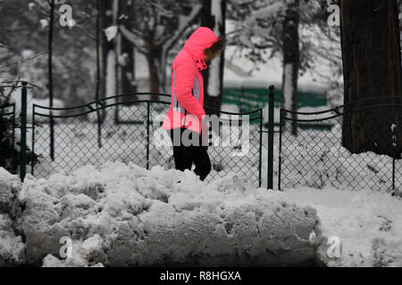 Novi Sad, Serbie. 15 décembre 2018. Jours de neige en Serbie. Les fortes chutes de neige en Serbie rend plus difficile des peuples et en ralentissant la circulation Nenad Mihajlovic photo Credit : Nenad Mihajlovic/Alamy Live News Banque D'Images