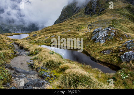 Milford Track en passant au dessus de la Mackinnon Pass dans le Parc National de Fiordland dans l'île du sud de Nouvelle-Zélande. Ce col est le point le plus élevé sur la th Banque D'Images