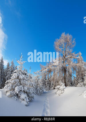 Paysage d'hiver avec un chemin dans la neige qui mène dans les bois Banque D'Images