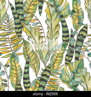 Aquarelle sur fond exotique transparente feuilles tropicales, illustration botanique Banque D'Images