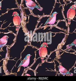 Hiver aquarelle botanique vintage motif transparent, les oiseaux les rameaux et les branches. Illustration de la nature sur fond noir Banque D'Images