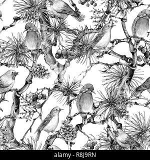 Noir et blanc de Noël Vintage Bouquets motif transparent, Nouvel An décoration avec des oiseaux, des branches de pins, des baies, des pommes de pins. Natura botanique Banque D'Images