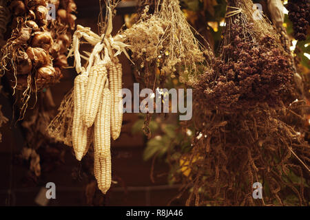 Bouquets d'herbes séchées pendant du plafond dans une grange ou sur une véranda à l'automne après-midi ensoleillé Banque D'Images