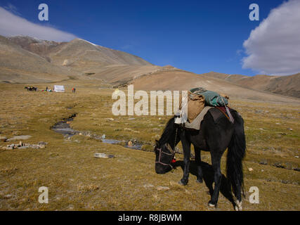 Rivière gelée et camping le long de la Tso Moriri trek, Ladakh, Inde Banque D'Images